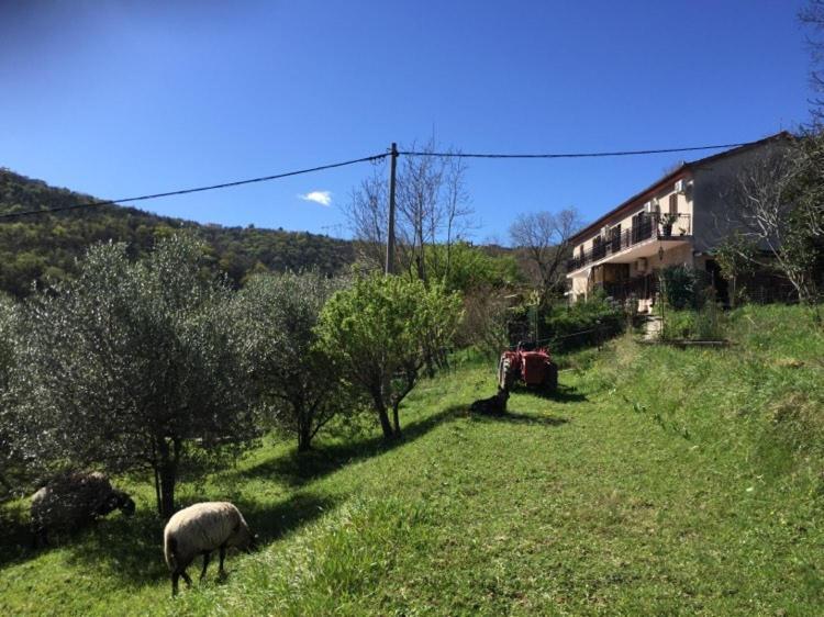 Salara Farmhouse Koper Buitenkant foto